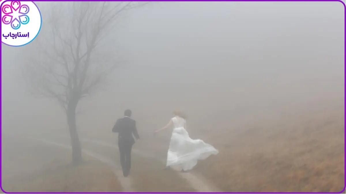 ایده عکاسی برای فرمالیته در مه و جنگل