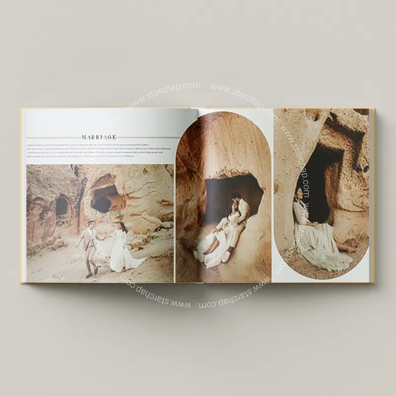 آلبوم ایتالیایی عروس (فرمالیته)