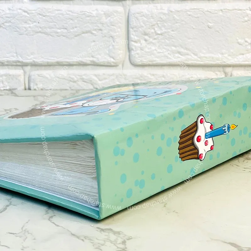 آلبوم 13 در 18 پاکتی (تولد هاپو)