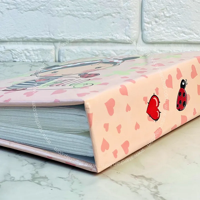 آلبوم 13 در 18 پاکتی (دختر کفشدوزک)